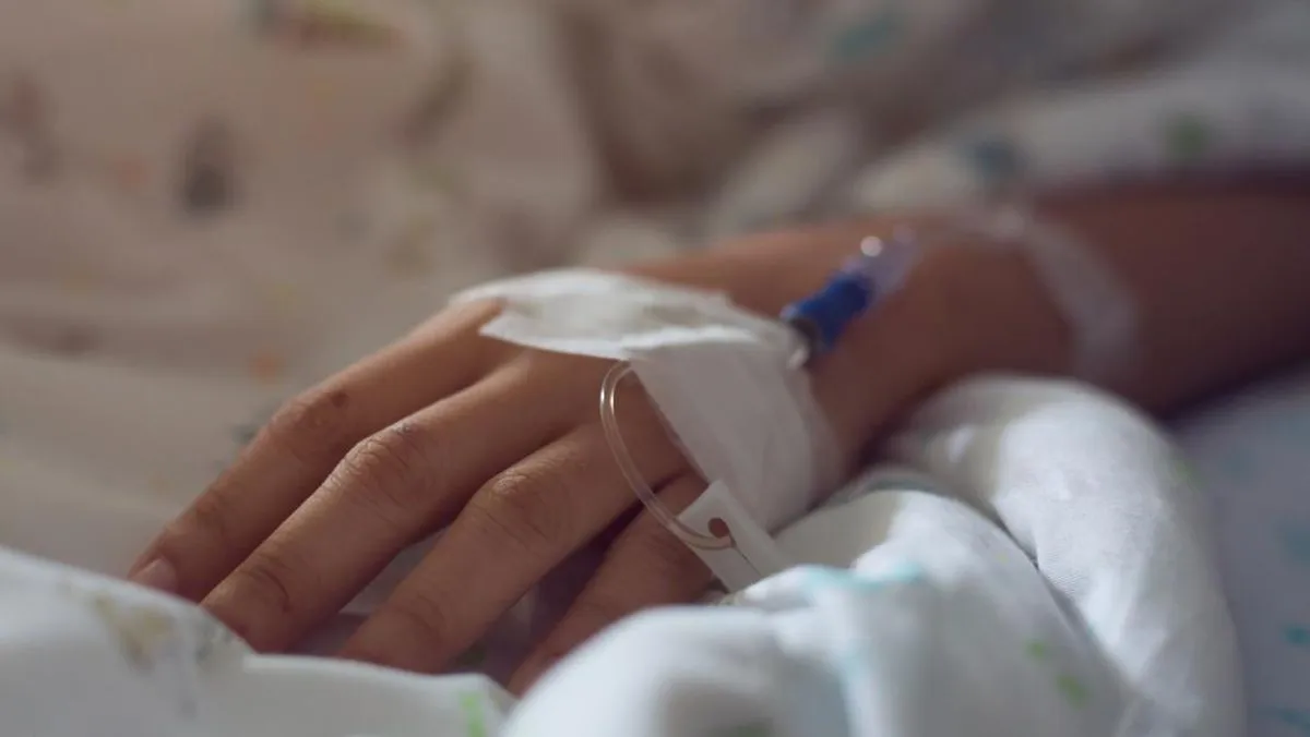 Waspada Flu Babi, 5 Anak Dilaporkan Meninggal di Riau