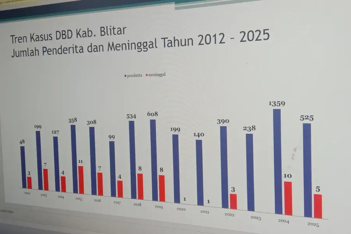 Blitar Darurat DBD! 525 Kasus, 5 Meninggal Dunia