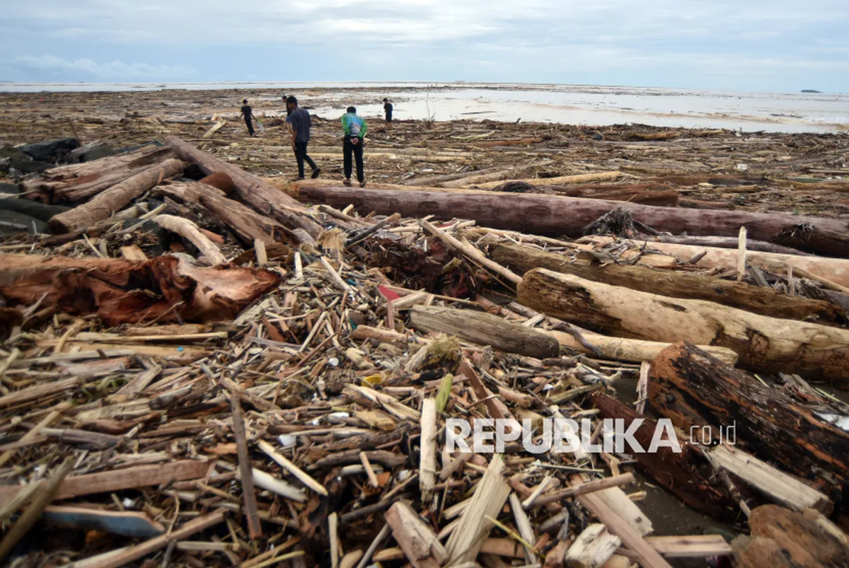Hutan Hilang, Banjir Menerjang