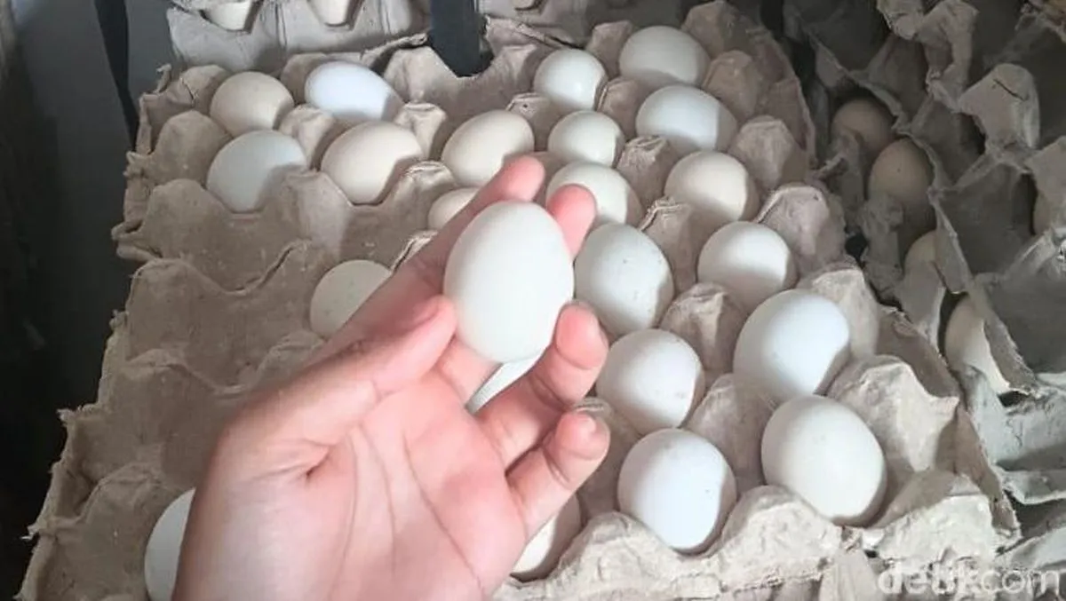 Mitos atau Fakta, Telur Tembean Bisa Tingkatkan Peluang Hamil?