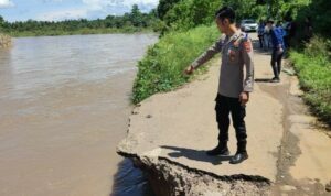 ampir separuh badan jalan longsor akibat tergerus arus air Sungai Musi pasca hujan lebat terjadi beberapa hari terakhir.