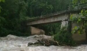 Kondisi ini juga mengakibatkan jembatan Sungai Air Deras yang biasa digunakan warga untuk pergi ke kebun nyaris ambruk