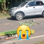 Seorang pengendara sepeda motor ditemukan tewas di Jalan Lintas Sumatera (Jalinsum) Desa Simpang Gegas Temuan Kecamatan TPK