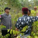 Tanaman gambir di Desa Toman Kecamatan Babat Toman, Kabupaten Musi Banyuasin, telah didaftarkan ke Direktorat Jenderal Kekayaan Intelektual.