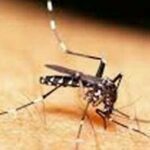 Dinas Kesehatan (Dinkes) Kabupaten Empat Lawang mencatat, pada Januari 2023, ditemukan 9 kasus demam berdarah dengue (DBD).