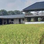 Produksi panen padi  di Kabupaten Musi Rawas terancam berkurang disebabkan maraknya alih fungsi lahan pertanian.