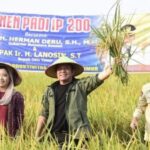 Di Sumatera Selatan ada 5 daerah penghasil padi terbanyak menjadi daerah Lumbung Padi untuk menyangga 12 kabupaten/kota lain di Sumsel.