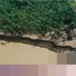 1.140 Jiwa Meninggal, 163 Orang Hilang Akibat Bencana Sumatera per 28 Desember 2025