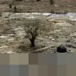 21 Tahun Tragedi Tsunami Aceh: Kala Megathrust Mengguncang, Ratusan Ribu Nyawa Melayang