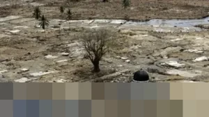 21 Tahun Tragedi Tsunami Aceh: Kala Megathrust Mengguncang, Ratusan Ribu Nyawa Melayang