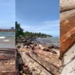 Kapolda Lampung Periksa Kayu Terdampar, Telusuri Keabsahan via Barcode PT Minas Pagai Lumber