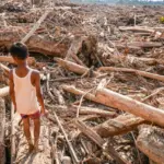 Prabowo: Huntara Tipe 36 untuk Korban Bencana Sumatera, Harga Rp 30 Juta