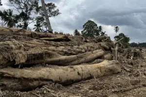 45 Desa Tapanuli Terisolasi Pascabanjir dan Longsor, Bantuan Dikirim Lewat Udara dan Darat
