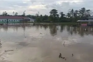 Penebangan Liar Diduga Jadi Penyebab Utama Banjir Bandang di Halmahera Selatan