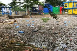 Bau Menyengat Sampah Citarum di Baleendah, Warga Keluhkan Bau dan Minta Segera Dibersihkan