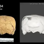 Tengkorak Kubus 1.400 Tahun Ditemukan di Meksiko, Ahli Bingung Bentuknya