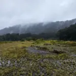 Citra Satelit Banyumas Ungkap Bekas Tambang Panas Bumi, Pemkab Akui Kekhawatiran