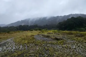 Citra Satelit Banyumas Ungkap Bekas Tambang Panas Bumi, Pemkab Akui Kekhawatiran