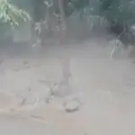 Banjir Lahar Panas Tutup Jalan di Flores Timur, Kades: Aneh, Baru Pertama Kali