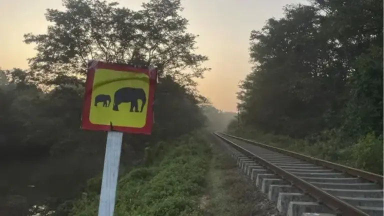 7 Gajah Liar Tewas, 5 Gerbong Kereta Anjlok Usai Tabrak Kawanan di India