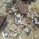 Banjir Sumatera: Wamen LH Ungkap 4 Perusahaan Disegel, Ini Daftarnya