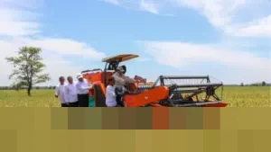 Akademisi Ungkap Strategi Mentan Amran Perkuat Ekosistem Pangan Nasional Berkelanjutan