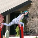 Shio Hari Ini 24 Desember: 5 Shio Siap Hidup Lebih Plong! Ini Bocoran Nasib Baikmu di Hari Keseimbangan