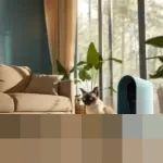 Ancaman Polusi Udara di Dalam Rumah Kian Serius, Air Purifier Jadi Benteng Kesehatan Anak