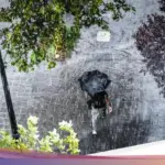 Atap Rumah Tiga Lantai di Megamendung Bogor Ambruk Diterjang Hujan dan Angin Kencang, Penghuni Terluka