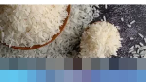 Baht Menguat Tajam, Ekspor Beras Thailand Diproyeksi Anjlok 1 Juta Ton Tahun Depan