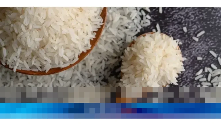 Baht Menguat Tajam, Ekspor Beras Thailand Diproyeksi Anjlok 1 Juta Ton Tahun Depan