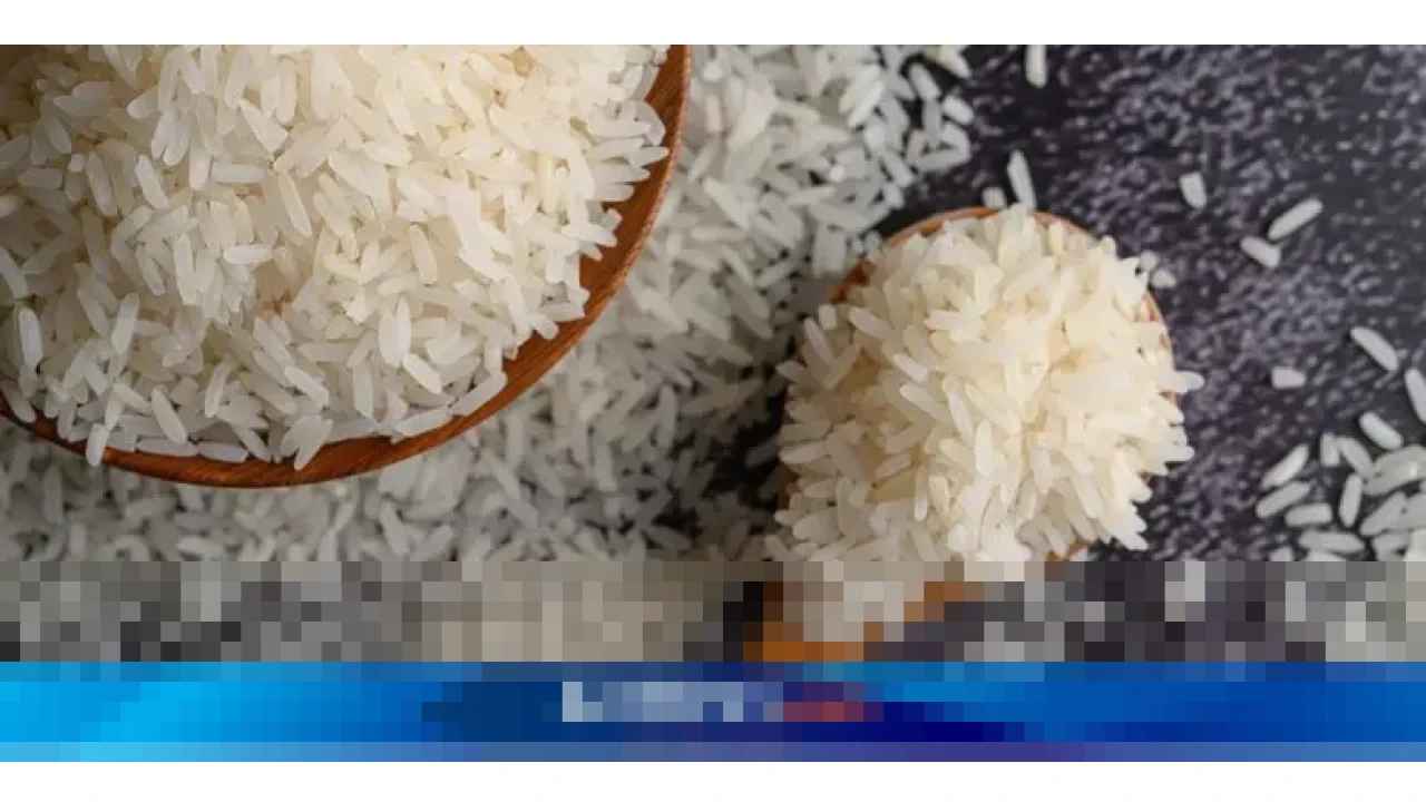 Baht Menguat Tajam, Ekspor Beras Thailand Diproyeksi Anjlok 1 Juta Ton Tahun Depan