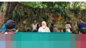 Bandung Zoo Kembali Hidup: Ribuan Pengunjung Padati Kebun Binatang dengan Skema Donasi Unik