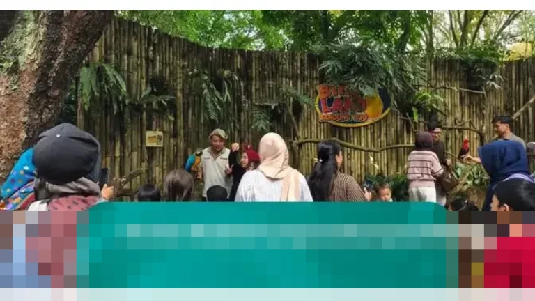 Bandung Zoo Kembali Hidup: Ribuan Pengunjung Padati Kebun Binatang dengan Skema Donasi Unik