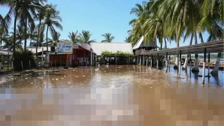 Banjir Aceh Lumpuhkan Produksi Garam Rakyat di 8 Kabupaten, KKP Pastikan Kerugian Didata Banjir Aceh Lumpuhkan Produksi Garam Rakyat di 8 Kabupaten, KKP Pastikan Kerugian Didata