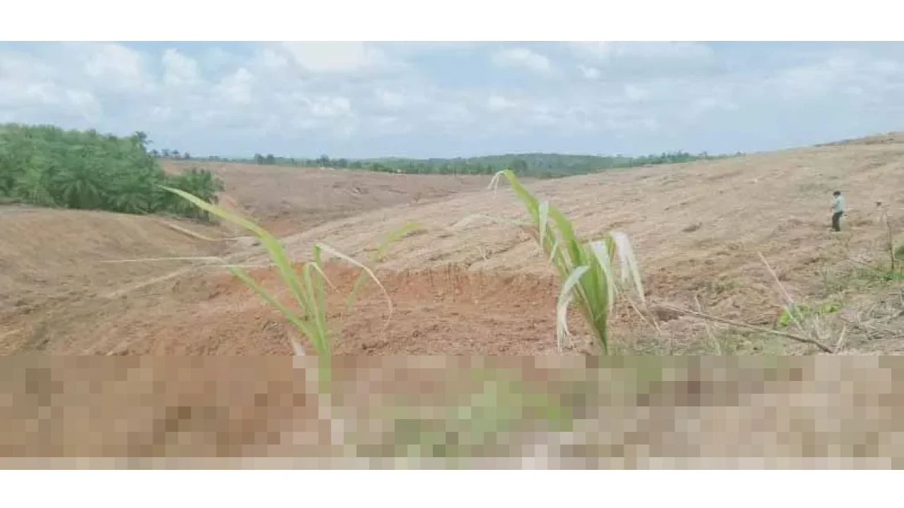 Bank Tanah Pastikan Pengembangan Wilayah Penunjang IKN Selaras dengan RTRW Penajam Paser Utara