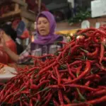 Bapanas Catat Mayoritas Harga Pangan Turun Jelang Natal 2025, Cabai dan Bawang Merah Anjlok