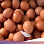 Bapanas Pastikan Stok Telur Ayam Ras 74.500 Ton Aman Hingga Ramadan 2026