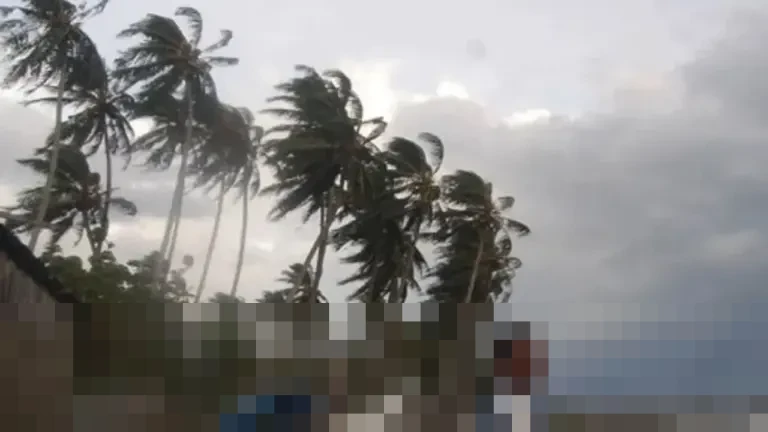 BBMKG Denpasar Peringatkan Angin Kencang dan Hujan Lebat di Bali hingga 29 Desember 2025