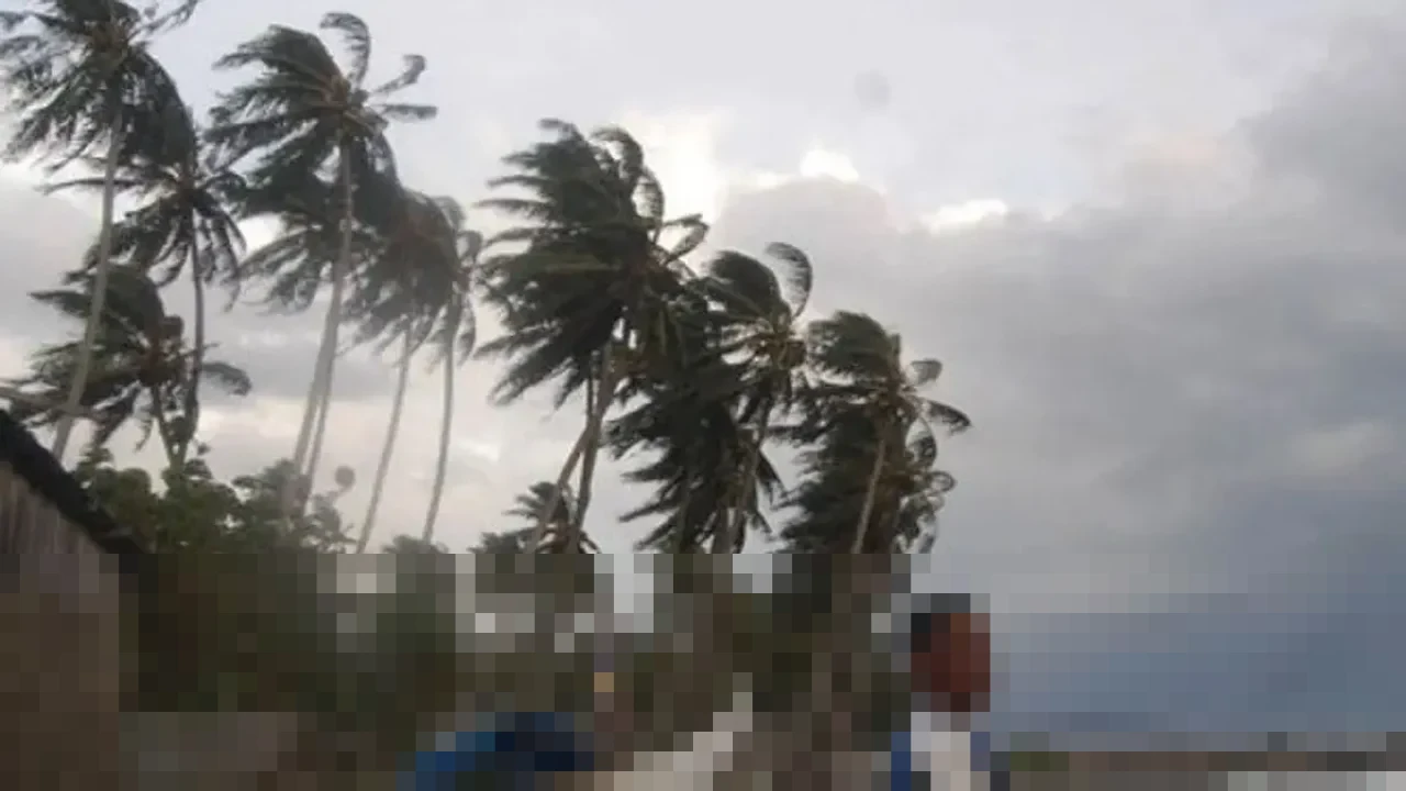 BBMKG Denpasar Peringatkan Angin Kencang dan Hujan Lebat di Bali hingga 29 Desember 2025