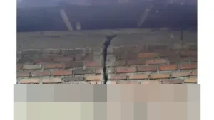 BMKG Pastikan Gempa Magnitudo 4,7 Guncang Pasaman, Sumatera Barat, Tidak Berpotensi Tsunami