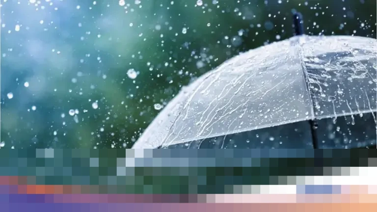 BMKG Prediksi Hujan Guyur Jakarta dan Jabodetabek Sepanjang Malam Tahun Baru 2026 BMKG Prediksi Hujan Guyur Jakarta dan Jabodetabek Sepanjang Malam Tahun Baru 2026