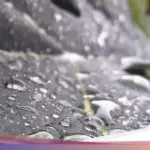 BMKG Prediksi Hujan Ringan Guyur Sebagian Besar Wilayah Jakarta Siang Ini pada Rabu, 24 Desember 2025