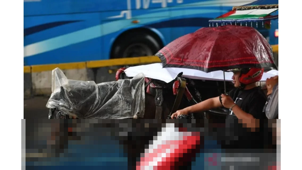 BMKG Umumkan Jakarta Diguyur Hujan Ringan hingga Disertai Petir Sepanjang Sabtu, 27 Desember 2025