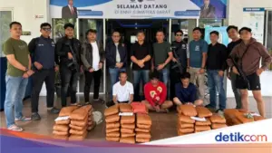 BNN Sumbar Gagalkan Peredaran 100 Paket Ganja di Agam, Tiga Pelaku Ditangkap