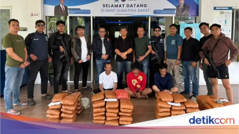 BNN Sumbar Gagalkan Peredaran 100 Paket Ganja di Agam, Tiga Pelaku Ditangkap