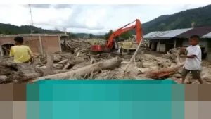 BNPB Catat 1.137 Korban Meninggal Akibat Banjir dan Longsor Sumatera, 163 Orang Masih Dicari
