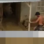 BNPB Umumkan 1.140 Jiwa Meninggal Akibat Banjir dan Longsor di Sumatra, 163 Orang Masih Hilang