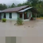 BNPB Ungkap Curah Hujan Ekstrem di Aceh Setara 5 Bulan, Picu Banjir dan Longsor di Sumatra