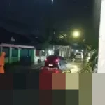 BPBD Makassar Pastikan Penanganan Cepat Dampak Cuaca Ekstrem, Puluhan Jiwa Terdampak Pohon Tumbang